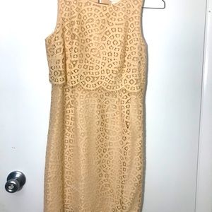 Lace dress